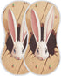 Set 1, Easter Bunny Ears Muslin Baby Burp Cloths of Super Soft & Absorbent Burping Rags, Cotton Burp Clothes Shower