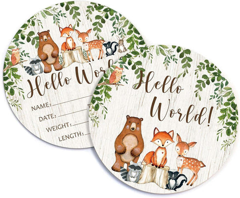 Yuzioey Birth Stat Sign for Newborn, Woodland Animals Baby Announcement, Forest Hello World Name Sign for Hospital