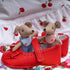 LEVLOVS Mouse Doll, Christmas Mouse in a Box, Sister Mouse in Matchbox, Linen Doll with Mushroom in Leaf Bed