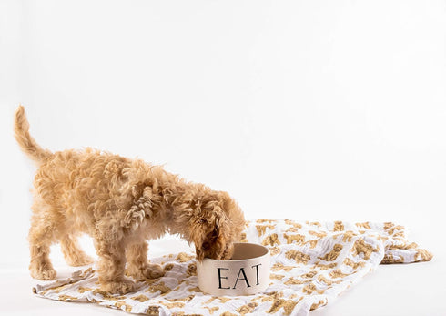 Mud Pie Golden Doodle Print Baby Swaddle Blanket, 47" x 47"