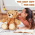 Liliful 12 Inch Plush Bear Stuffed Animal, Recordable Sound Module, Brown Bear Soft Doll for Party Gift