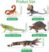 Toymany 12PCS Reptile Animal Figurine Toys Set: Cold Blooded Amphibians, Desert Animal Figures, Gift Party Favor