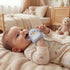 Arudyo 3-6 Baby Teething Toys for Months Silicone Teething Mittens for Babies Food Grade Silicone Teether (Penguin Baby