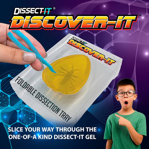 5 Discover-It Dissection Kit for Kids, Synthetic Amber Science Lab Kit to Learn About Insects, Science Toys for Kids