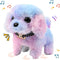 Easfan Walking Puppy Stuffed Animal - Interactive Rainbow Dog with Barking, Tail Wagging, and Nodding Head, Educational