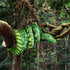 Giant Snake Stuffed Animal, 149 inch Large Lifelike Jumbo Plush Toy for Kids, Curving Huge Snake Gift