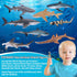 Toymany 8PCS Shark Toys Figurines - Realistic Sea Creatures for Kids 3-12, Ocean Sea Animal Cake Topper Educational