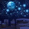 DESERT CAMEL Glow in The Dark Stars for Ceiling,Glow in The Dark Stars and