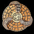 7-in-1 Fidget Spinner DND Dice Set, Rotate Metal Fingertip Gyro for Dungeons and Dragons Table Game Dice (Gold)
