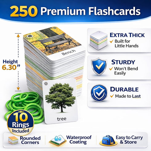 500 1-3 1 1 Words Thick & Sturdy Learning Flash Cards for Toddlers with Rings - Year Old Girl Gifts - Educational