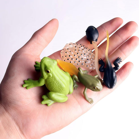 Gemini&Genius Life Cycle of Frog Figurines, Bulk Insect Growth Diary Action Figures, Fun Learning Gifts, Party Favors