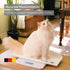 BY82 396lbs, 4 Beurer Multifunctional Baby Scale for Infants, Pets, Kids, & Adults up to Measures in Units with Backlit