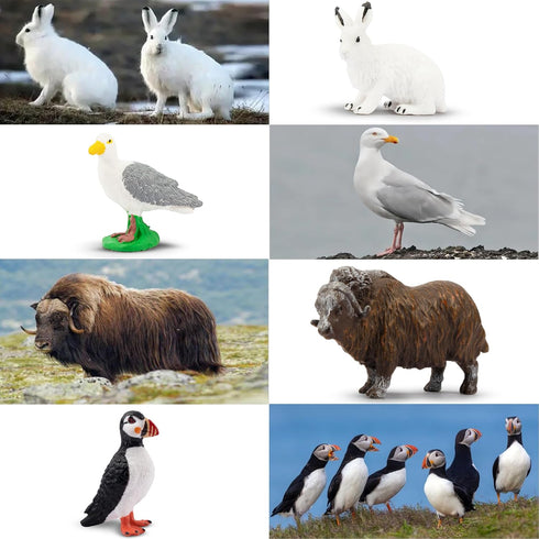 Toymany 14PCS Tiny Polar Animal Figurines, Plastic Arctic Animal Set for Kids Birthday Party Gifts
