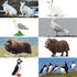 Toymany 14PCS Tiny Polar Animal Figurines, Plastic Arctic Animal Set for Kids Birthday Party Gifts