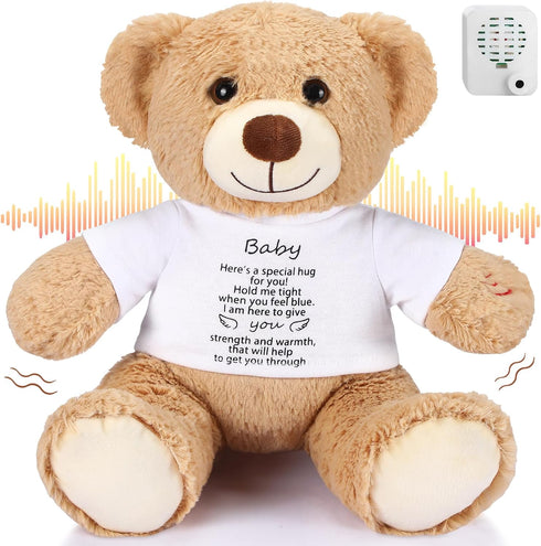 12 Inch Bear Stuffed Animal with 30 Seconds Voice Recorder Module, Soft Plush Bear with Zipper Memorial Gift