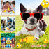 Honoson 50 6.3 Inch(Yellow) Pcs Rubber Chickens Squeak Screaming Chicken Novelty Bulk Dog Toys for Pets Dogs Adults