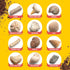 Real Fossil Dig Kit for Kids, Mega Science Kits for Boys & Girls Age 8-12, Birthday Gift Ideas for Ages 8-13