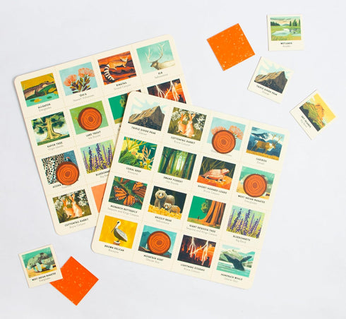 National Parks of The USA Bingo: A Game for Explorers