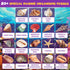 20+ Set 6+ PIBEX Ocean Fossil Dig Kit, Dig up Real Shells & Seasnails, STEM Educational Activity Sea Creatures