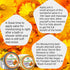 8OZ- (2-4 oz Calendula Comfrey Super Salve Jars), by Creation Farm Balm Soothes Baby Bottoms, Hand Cream for Dry