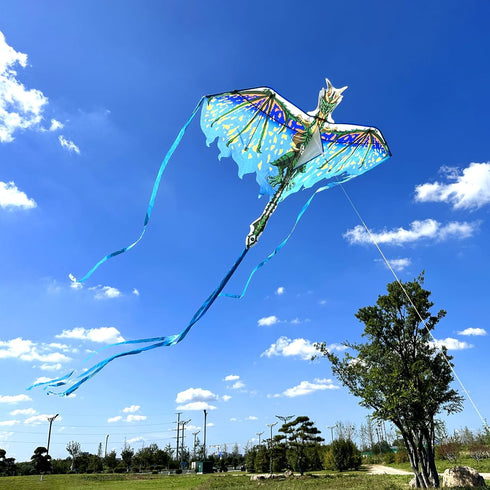 Mint's Colorful Life Dragon Kite for Kids & Adults, Best Beach Kites for Beginners, Easy to Fly, 300ft Kite String