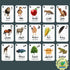 Albidaya Islamic Store Arabic Alphabet Flash Cards for Kids Toddler and Adults, Arabic First Words, Letter Recognition