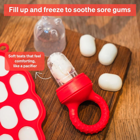Baby Fruit Feeder by Love Noobs, 2 Pack Baby Fruit Pacifier Feeder with 4 Extra Teats, BPA Free