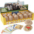Dig a Dozen Egg Kit, Break Open 12 Eggs to Discover 12 Unique Wild Safari Animals, STEM Gift for Kids
