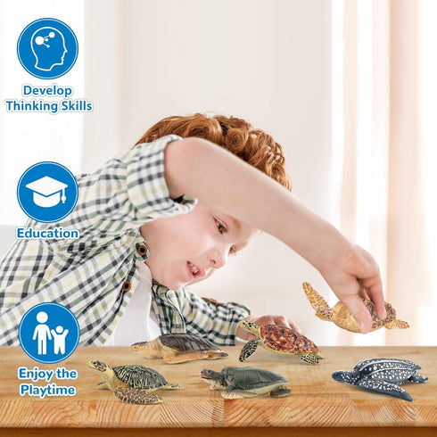 Toymany 6PCS Realistic Sea Turtle Figurines, Plastic Ocean Sea Animals Figures Set for Kids Birthday Gift