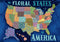 Buffalo Games - Zirkus Design LLC - The Floral States of America - 300 Piece Jigsaw Puzzle for Families