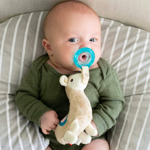 Nuby Soft Plush Pacifinder with Detachable Silicone Pacifier, 0-6 Months, Llama, Natural Cherry Shape, Multi