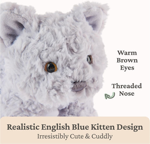 0 9 GUND Bootsie English Blue Kitten Plush Toy, Premium Cat Stuffed Animal for Ages and Up, Gray