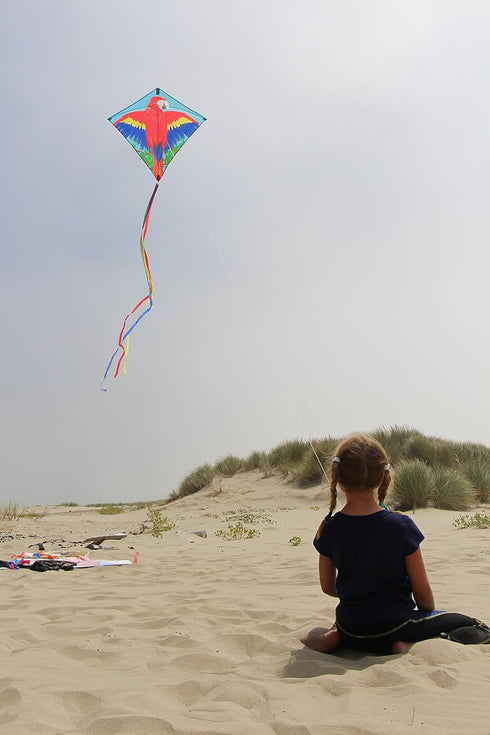 In the Breeze 30-inch Graphic Diamond Kites for Outdoor Fun