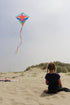 In the Breeze 30-inch Graphic Diamond Kites for Outdoor Fun