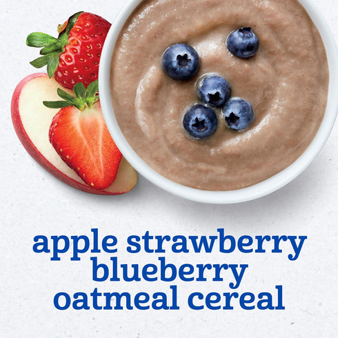 2nd 4 oz 2 Count (Pack 8) Gerber Foods Apple Strawberry Blueberry with Mixed Cereal Baby Food, Tubs