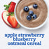 2nd 4 oz 2 Count (Pack 8) Gerber Foods Apple Strawberry Blueberry with Mixed Cereal Baby Food, Tubs