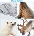 12PCS 4-7" Set Toymany Large Polar Animals Figurines, Plastic Arctic Animal Toy Preschool Includes Polar