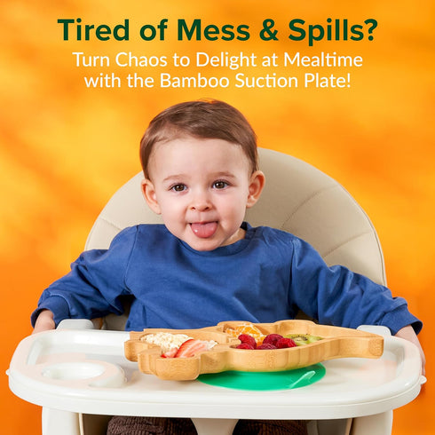 Bamboo Divided Suction Plates for Baby - Strong Suction Plates for Toddlers - Non-toxic All Natural Eco Friendly Materials - Dinosaur by BamBamKidz