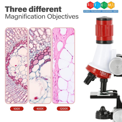 AmScope-ETXWJ04 IQCREW 100X-1200X LED Kids Beginner Microscope Toy Set with Slides Preparation Kit