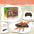 6-12 Wall Crawler Cockroach RC Toy, Creepy Crawly Remote Control Robot for Kids, Climbs Walls, STEM Toys Halloween