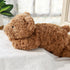 20.5" 2Lbs, (20.5"x7.9"x5.9") Weighted Teddy Bear Stuffed Anima Sturdy and Fluffy Brown Bear Plush Toy for Kids Cuddle