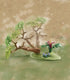 Playset Animal Rescue Quad from Playmobil Wiltopia