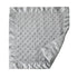 Set, (30" 40") (14" 14"), Cozy, American Baby Company Heavenly Soft Chenille Blanket Receiving Blanket x & Security