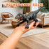 3-5 4-7 8-12+, 2.4GHz Sunrad Mini Remote Control Dinosaur Toys for Kids Age RC Robot Dinosaur with Light & Roar & Auto