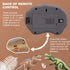 Remote Control T-Rex Dinosaur Toy for Kids
