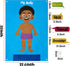 WATINC 35Pcs Brown Skin Color Body Parts Learning Felt Story Board Set - Educational Teaching Storytelling Kit for