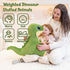 24" 4.4lbs Weighted Dinosaur Stuffed Animal, Large Dinosaur Plush Toys, Weighted Dino Plush, Big Stuffed Dino Plushie