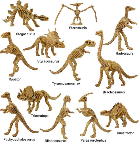 6 Inch Dinosaur Fossil Skeleton for Kids 3-10+, Dino Bones for Science Play, Educational Gift for Kids