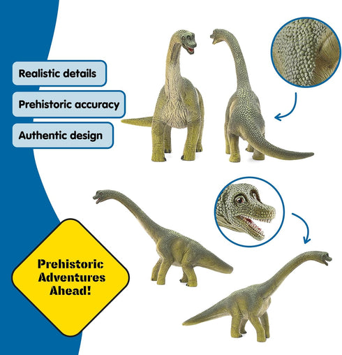 9.5" 4+ 14581 Schleich Dinosaurs - Brachiosaurus - Realistic, Durable Green Dinosaur Toy - Educational Fun Long Neck