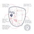 Pura Size 7 Diaper Pants, 3 x 17 Diapers, 51 Total (37+lbs), Pull Up Disposable Baby Diapers for Sensitive Skin